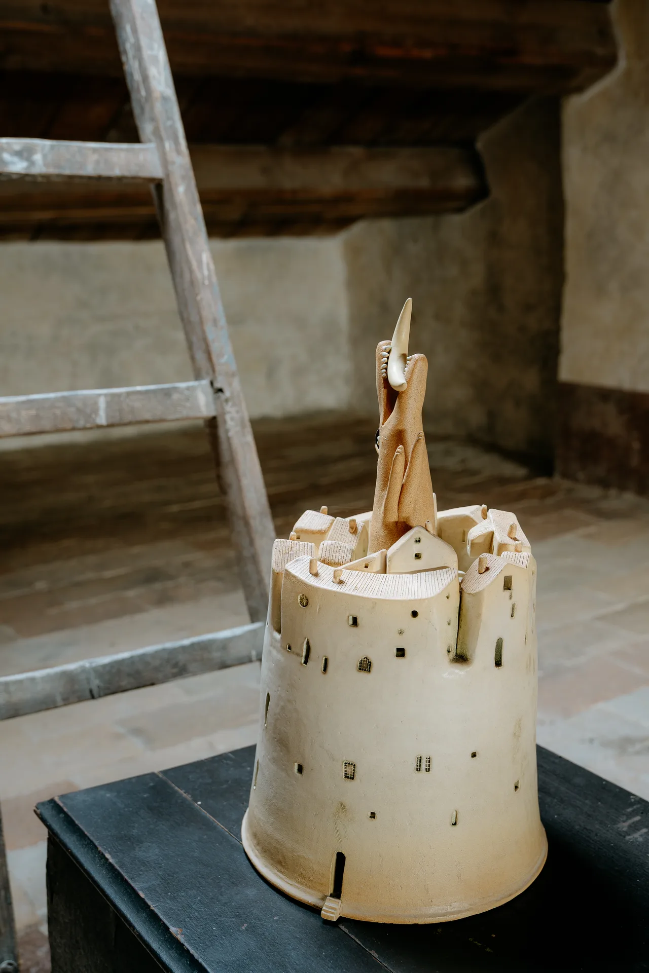 Raccolta Bojani, patrimonio di Corinaldo tra i Borghi più Belli d'Italia, Marche